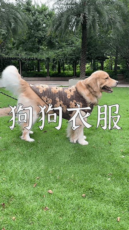 爆款拆解：第 40 集 狗狗衣服-无界随笔 - 无界知识库 | 短视频案例库 |电商运营随笔