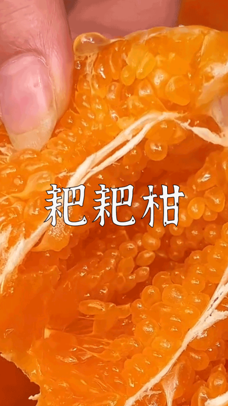 爆款拆解：第 93 集 耙耙柑-无界随笔 - 无界知识库 | 短视频案例库 |电商运营随笔